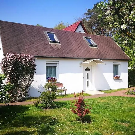 Ferienhaus im Igelbau Baabe Exterior foto